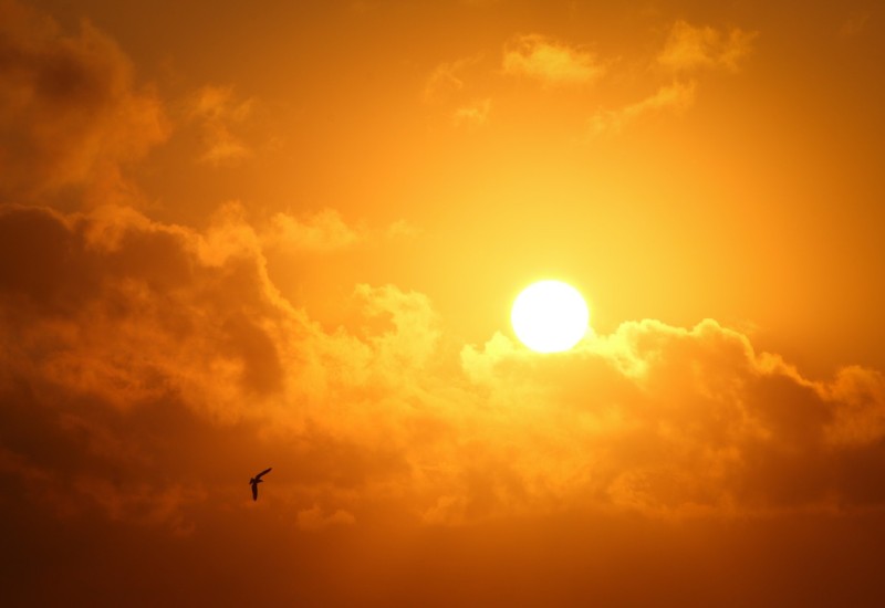 (Foto: Bradley Hook/Pexels)