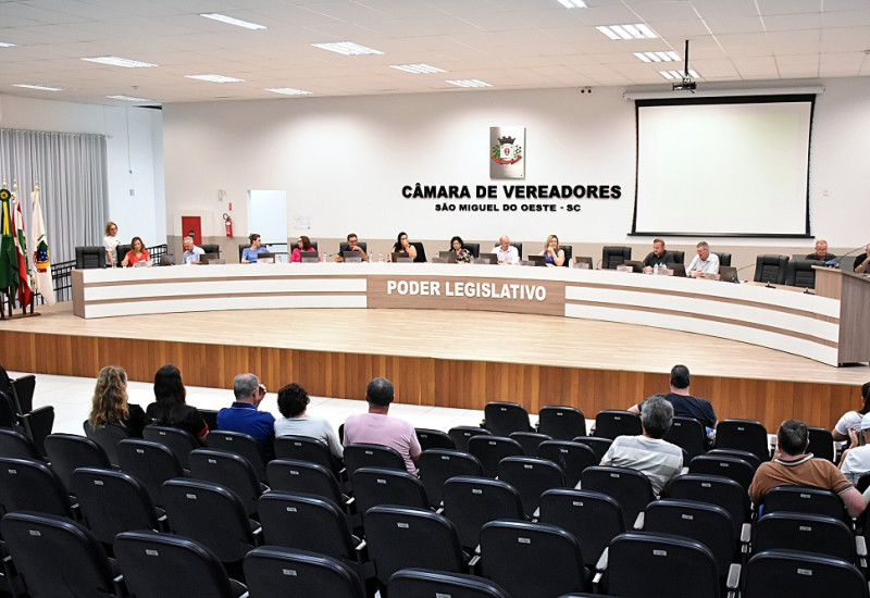 Foto: Tiaraju Goldschmidt/Câmara