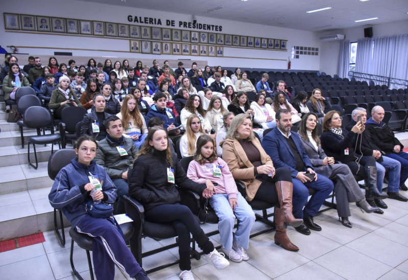 Foto: Tiarajú Goldschmidt/Câmara de Vereadores