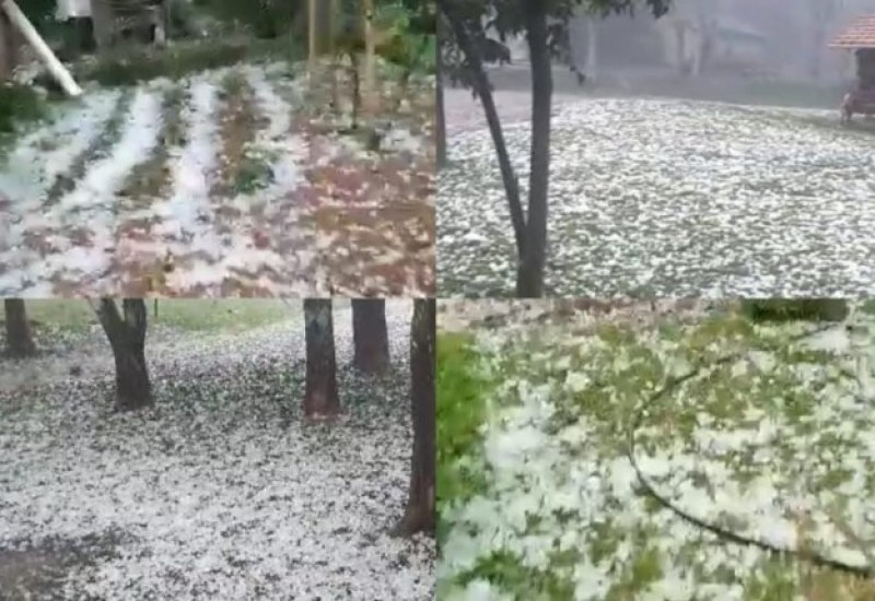 Internet/Reprodução