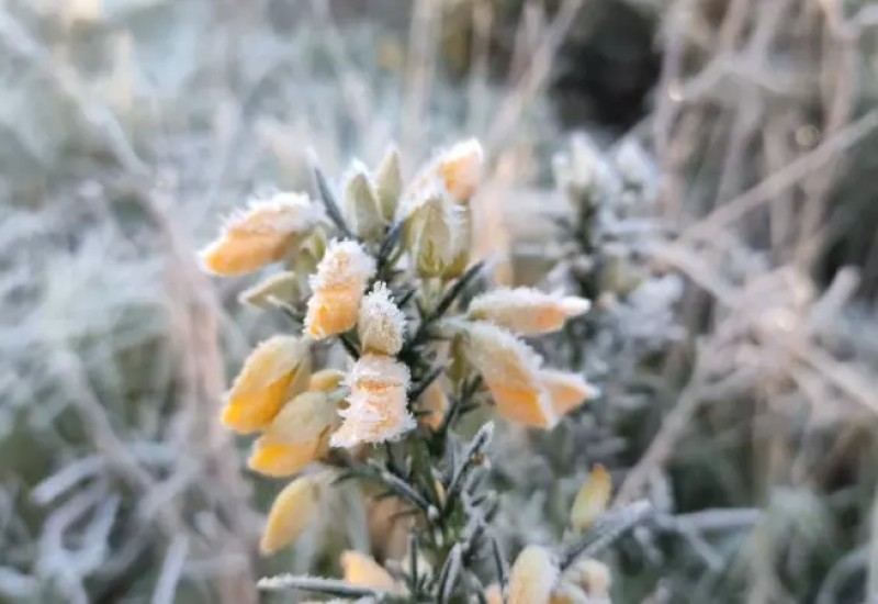 Foto: Wagner Urbano/Divulgação/ND