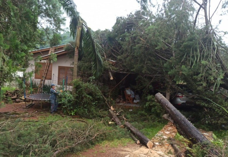 Fotos: Divulgação/Bombeiros e Internautas