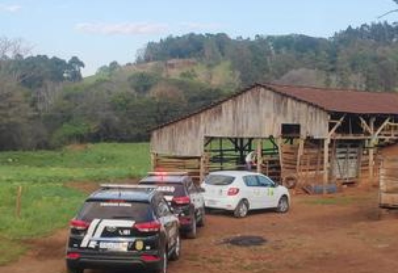 Foto: Polícia Civil/ Divulgação