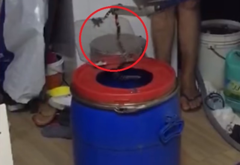 Foto/Reprodução: Cristian Lösch/Rede Peperi