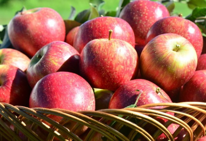 Foto: Aires Mariga/Epagri