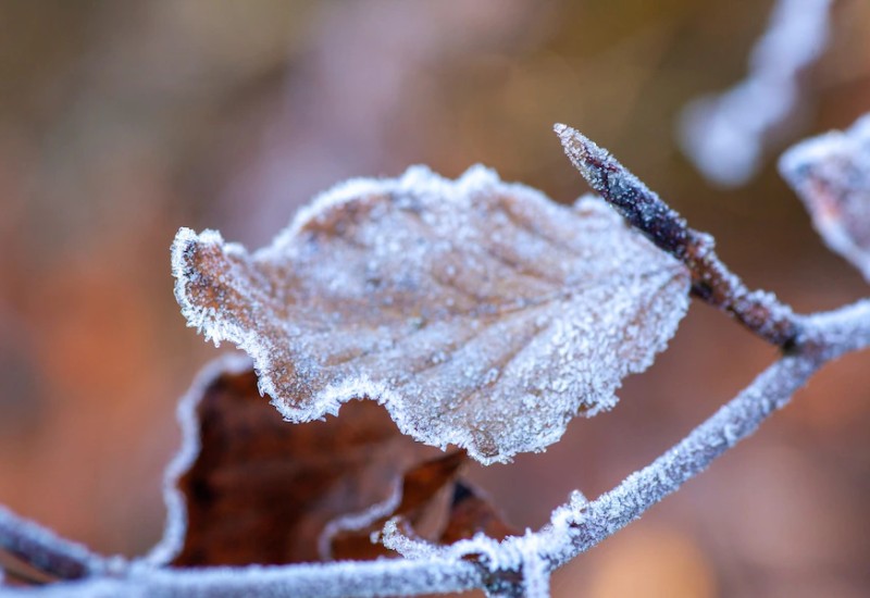 Imagem de wirestock no Freepik