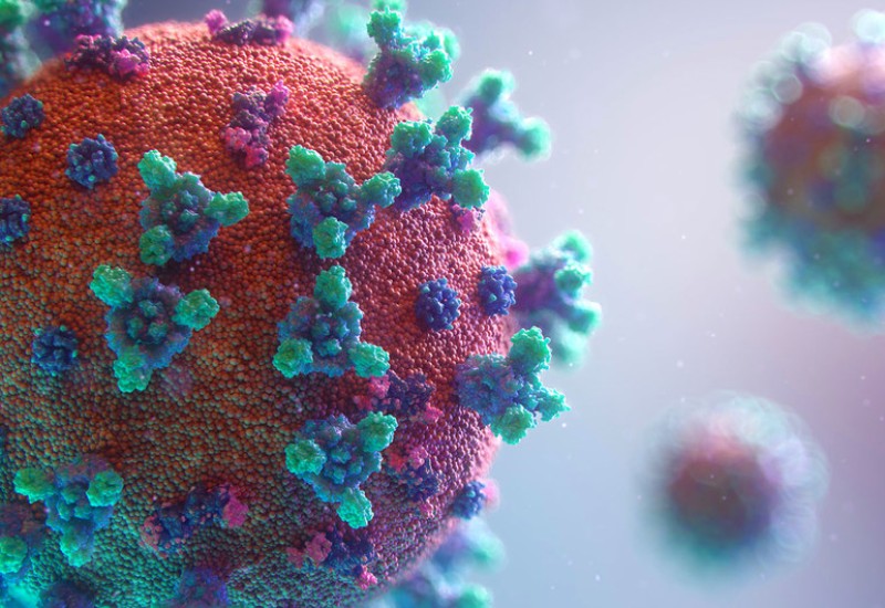 Foto: Unsplash/Fusion Medical Animation