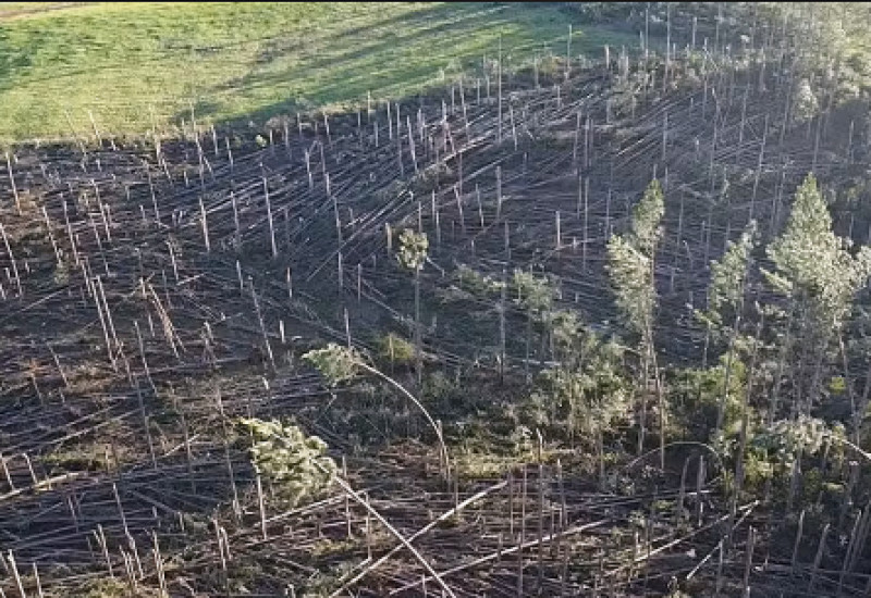 Divulgação/Defesa Civil