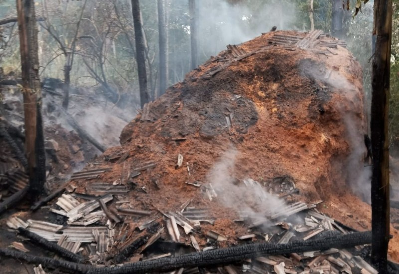 Foto: Bombeiros/Divulgação/JRTV