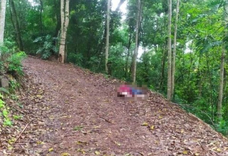 Divulgação/Polícia Civil