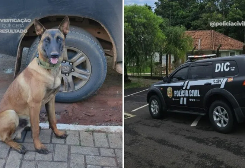 Foto: Polícia Civil/Divulgação