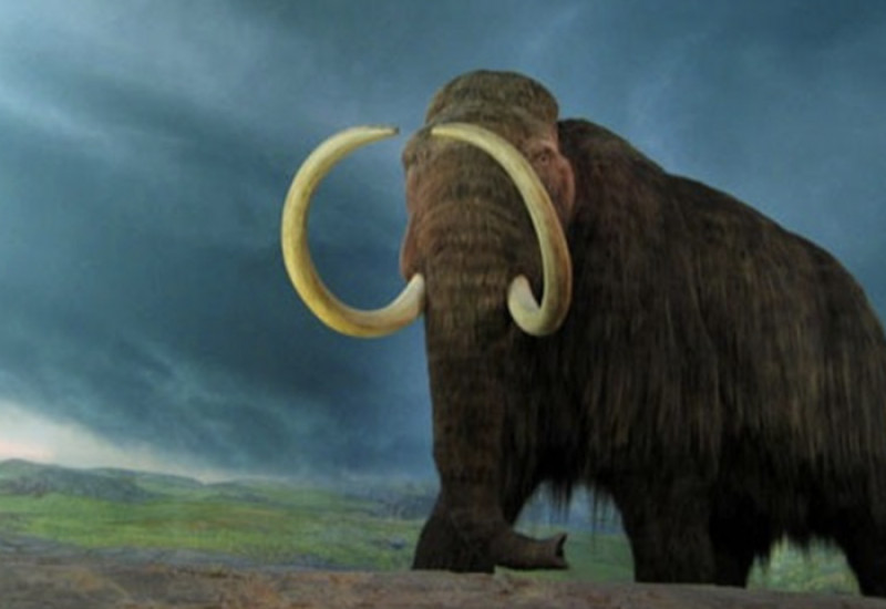 Foto: Wikimedia Commons