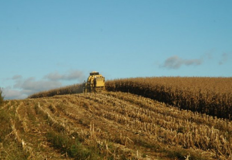 Foto: Aires Mariga / Epagri