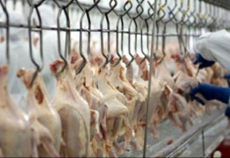 Foto: Agência Brasil/Divulgação