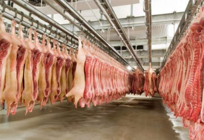 Foto: Arquivo/Divulgação