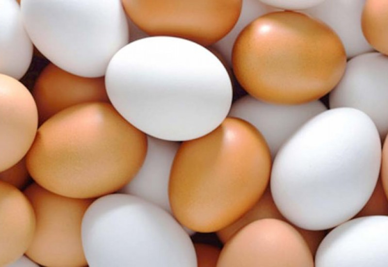 Foto: Agronovas/Wikipedia