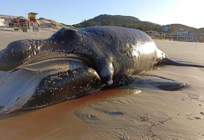 (Foto: R3/Divulgação)