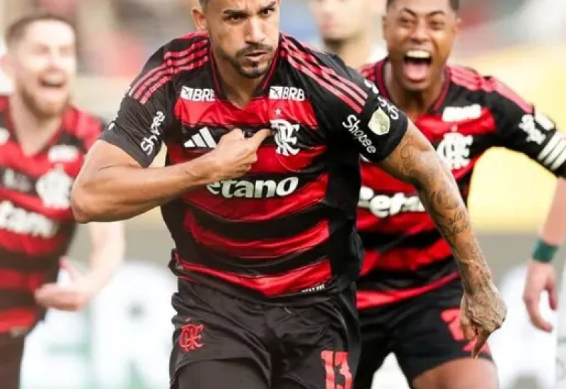 Foto: Gilvan De Souza, Flamengo