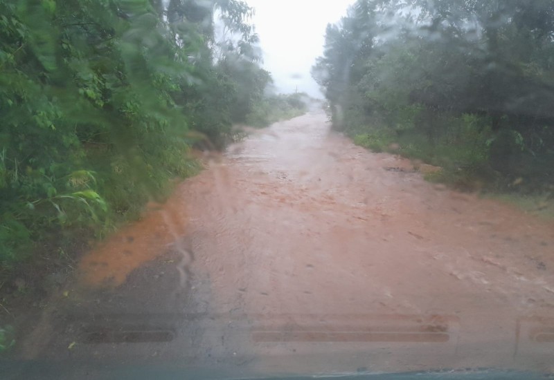 Fotos: Divulgação