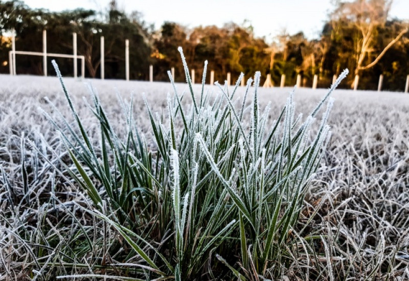 Foto Marcos Lewe/WH3