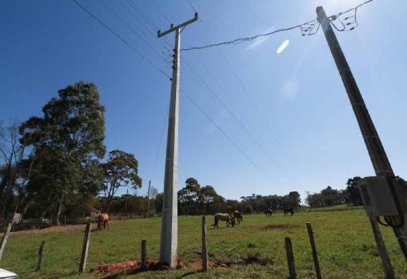 Foto: Julio Cavalheiro/Secom