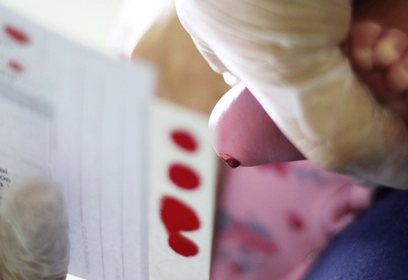 Foto: Rodrigo Nunes/MS