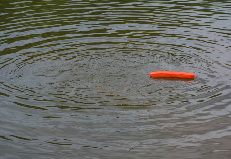 Foto: Marcos de Lima