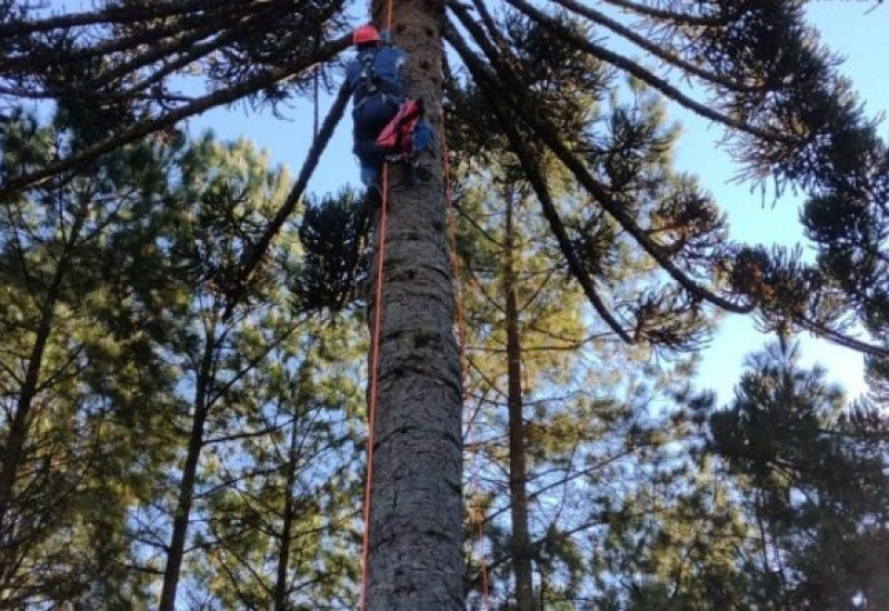 Foto: Corpo de Bombeiros/Divulgação