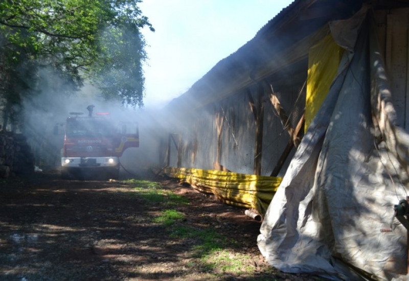 Foto: Ricardo Orso/Rádio Progresso/Divulgação