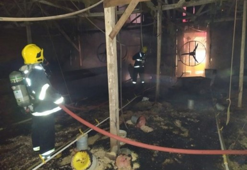 Foto: Bombeiros/Divulgação/JRTV