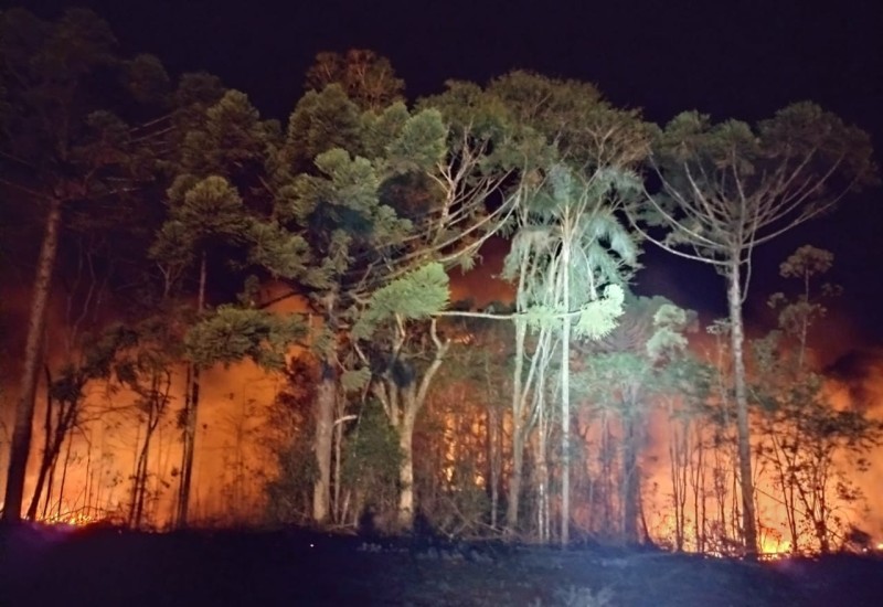 Foto:Corpo de Bombeiros/Arquivo