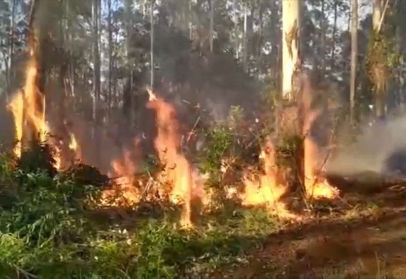 Foto: Reprodução/Internet