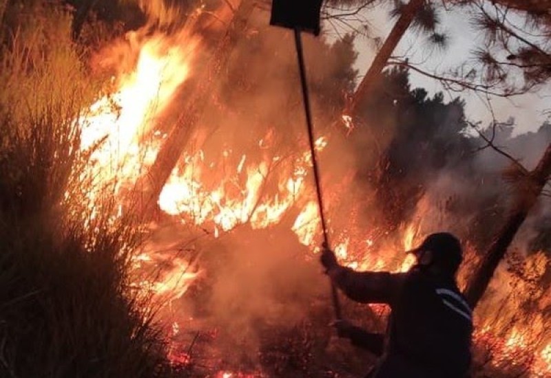 Divulgação/Bombeiros