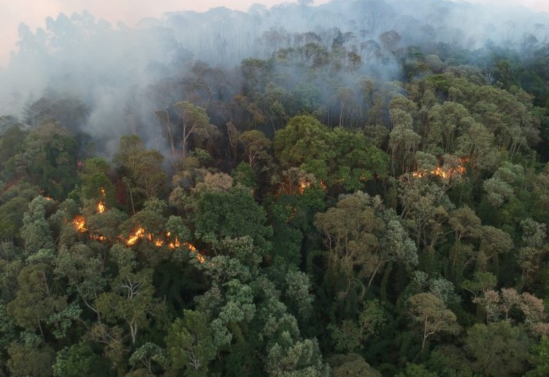  Foto: 14º BBM/Divulgação