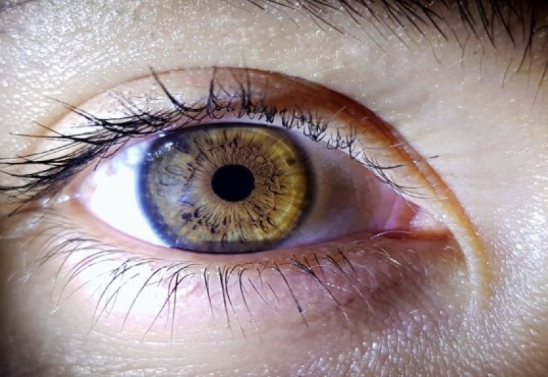 Imagem: Divulgação/Freepik/Assessoria de Imprensa/NCI