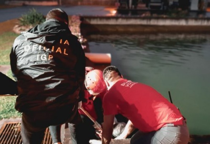 Foto: Divulgação / IML