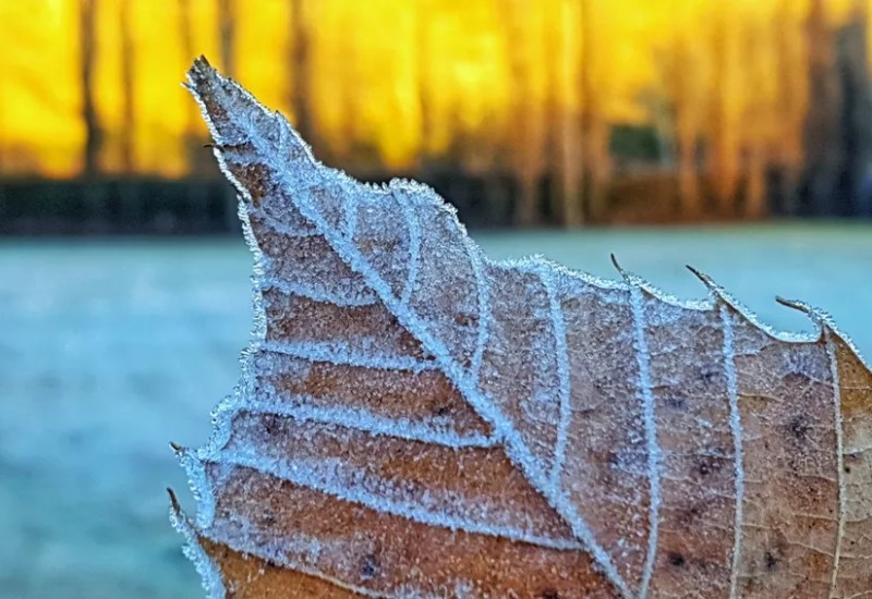 Foto: Mycchel Legnaghi/Divulgação