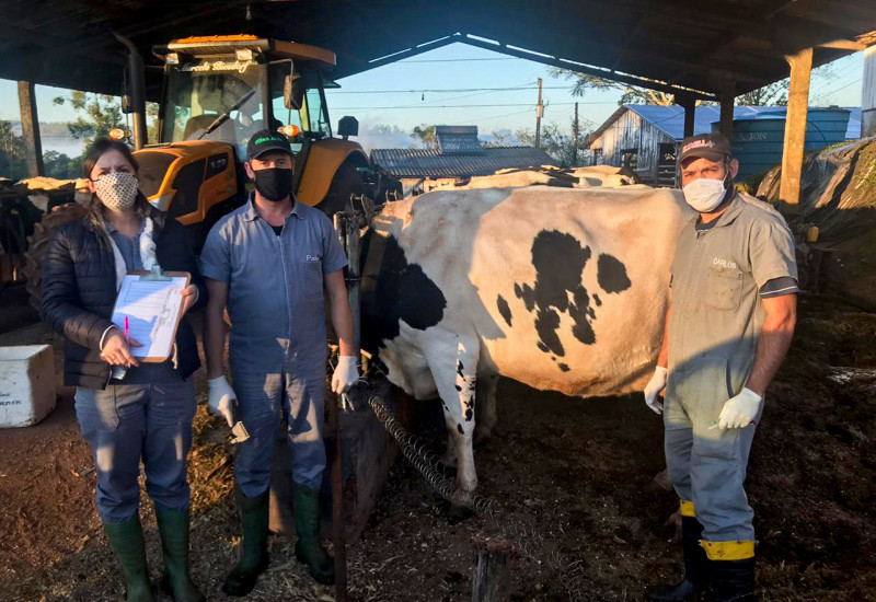 Os trabalhos nas propriedades rurais seguem todas as recomendações dos órgãos de saúde em função da pandemia da Covid-19.