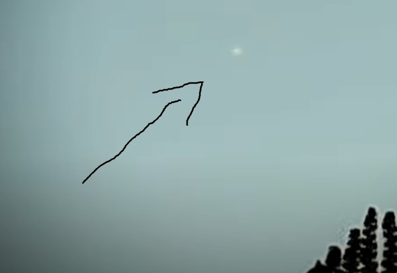 Divulgação/Lebon Régis Online