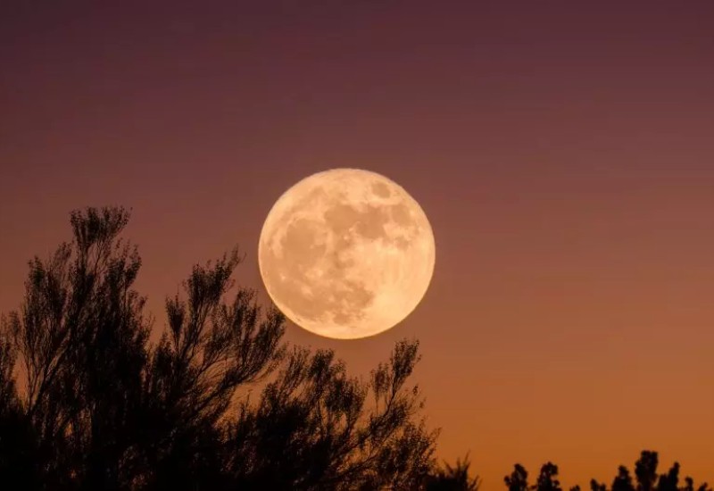 Superlua de julho promete ser a maior do ano – Foto: Unsplash/Divulgação/ND