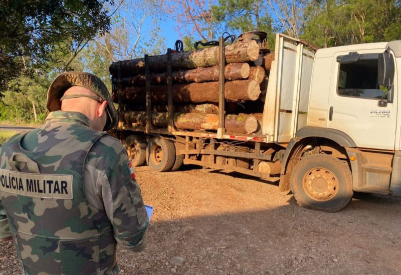 Foto: PMA/Divulgação/JRTV