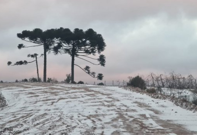 São Joaquim, registro da neve / Foto: Mycchel Legnaghi/Prefeitura de São Joaquim