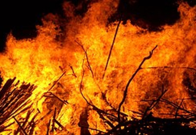 imagem ilustrativa/internet