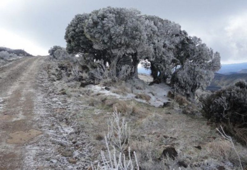 Sincelo. Foto: Divulgação/Epagri