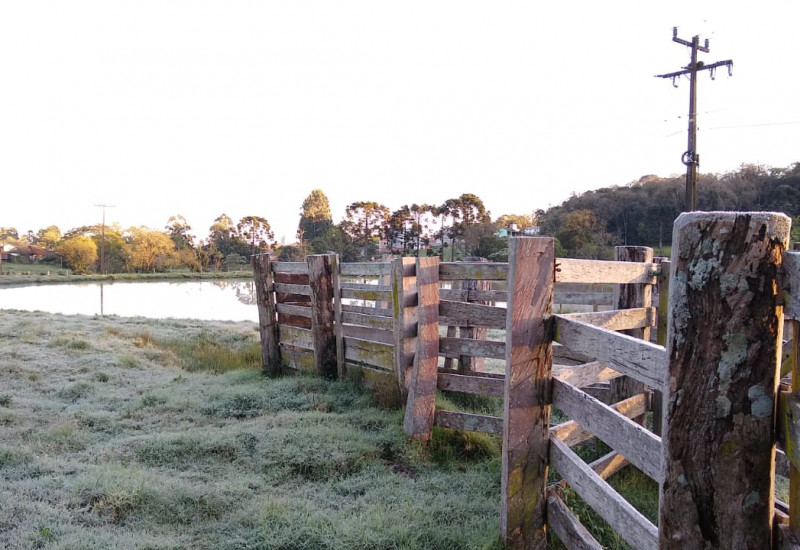 Foto: Carolina Debiasi/ND