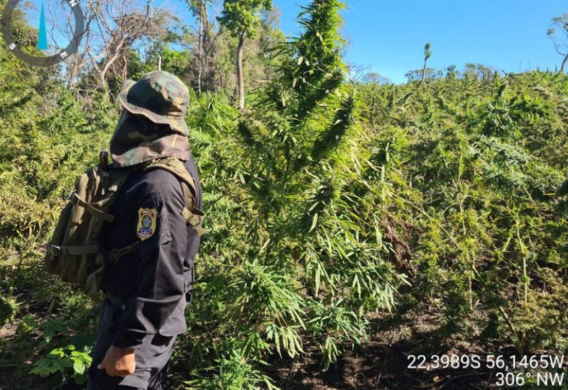 Foto: Polícia Federal