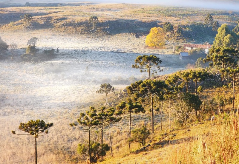 Imagem: Mycchel Legnaghi/Divulgação/Governo de SC
