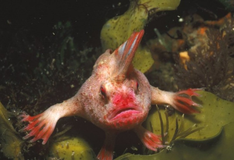 Foto: Internet/Reprodução