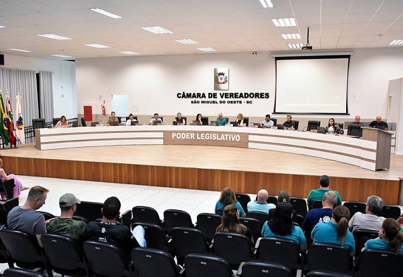 Foto: Tiarajú Goldschmidt/Câmara