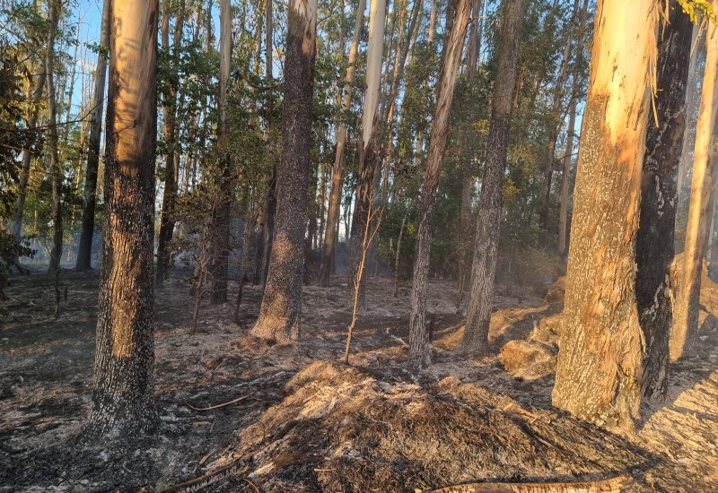 Fotos: Bombeiros/Divulgação/JRTV